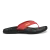 Red Acacia / Script